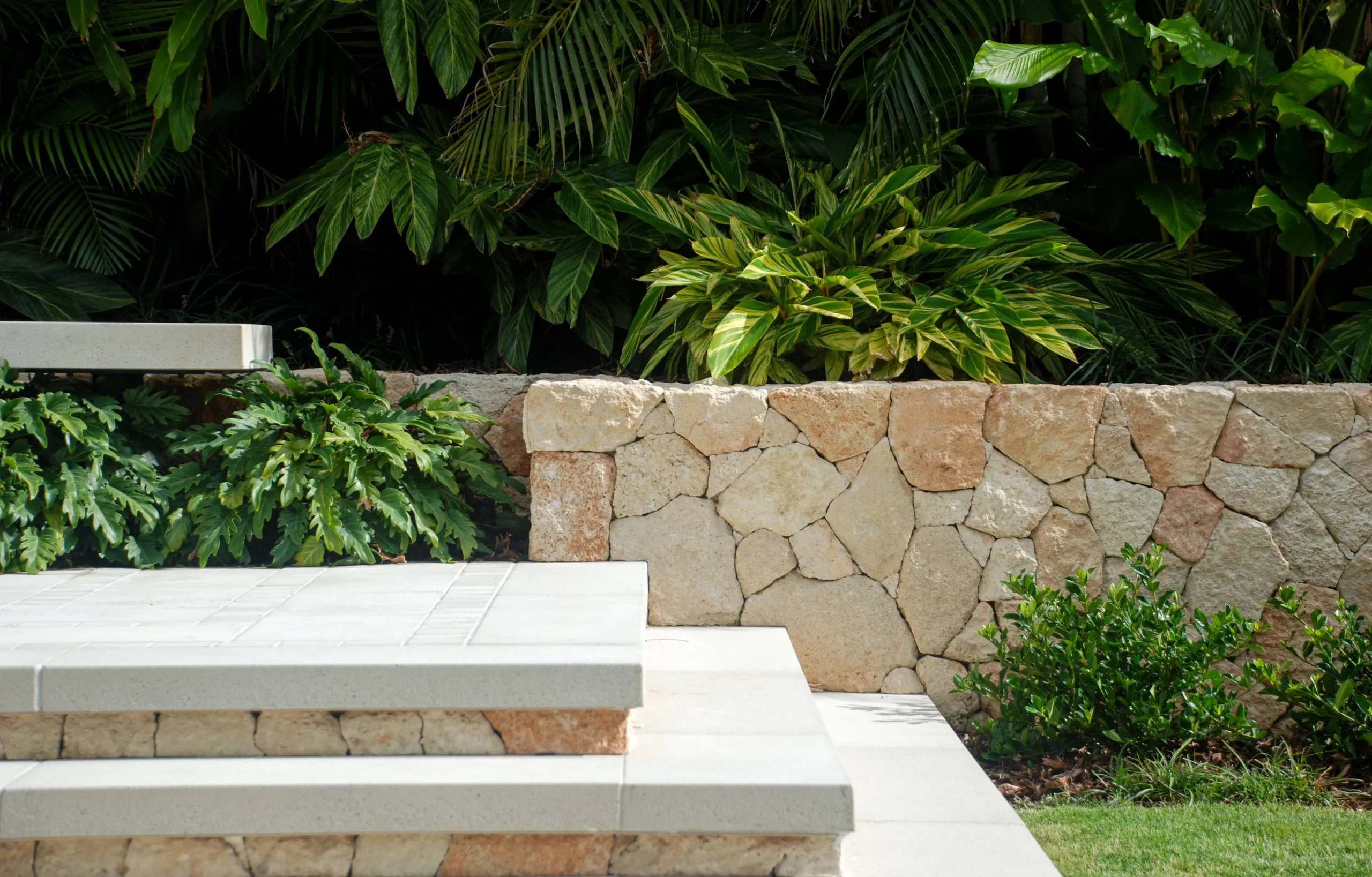 Professional landscaping transformation